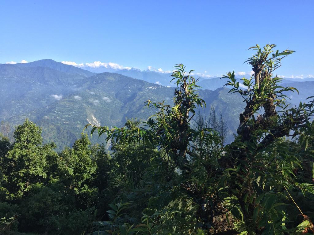 Shikher Kalimpong Exteriér fotografie